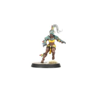 Amazon Blood Bowl Team: Kara Temple Harpies