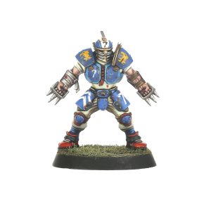 Human Team: Reikland Reavers