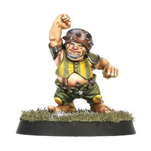 Halfling Blood Bowl Team – Greenfield Grasshuggers