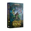 Bad Loon Rising (Paperback)