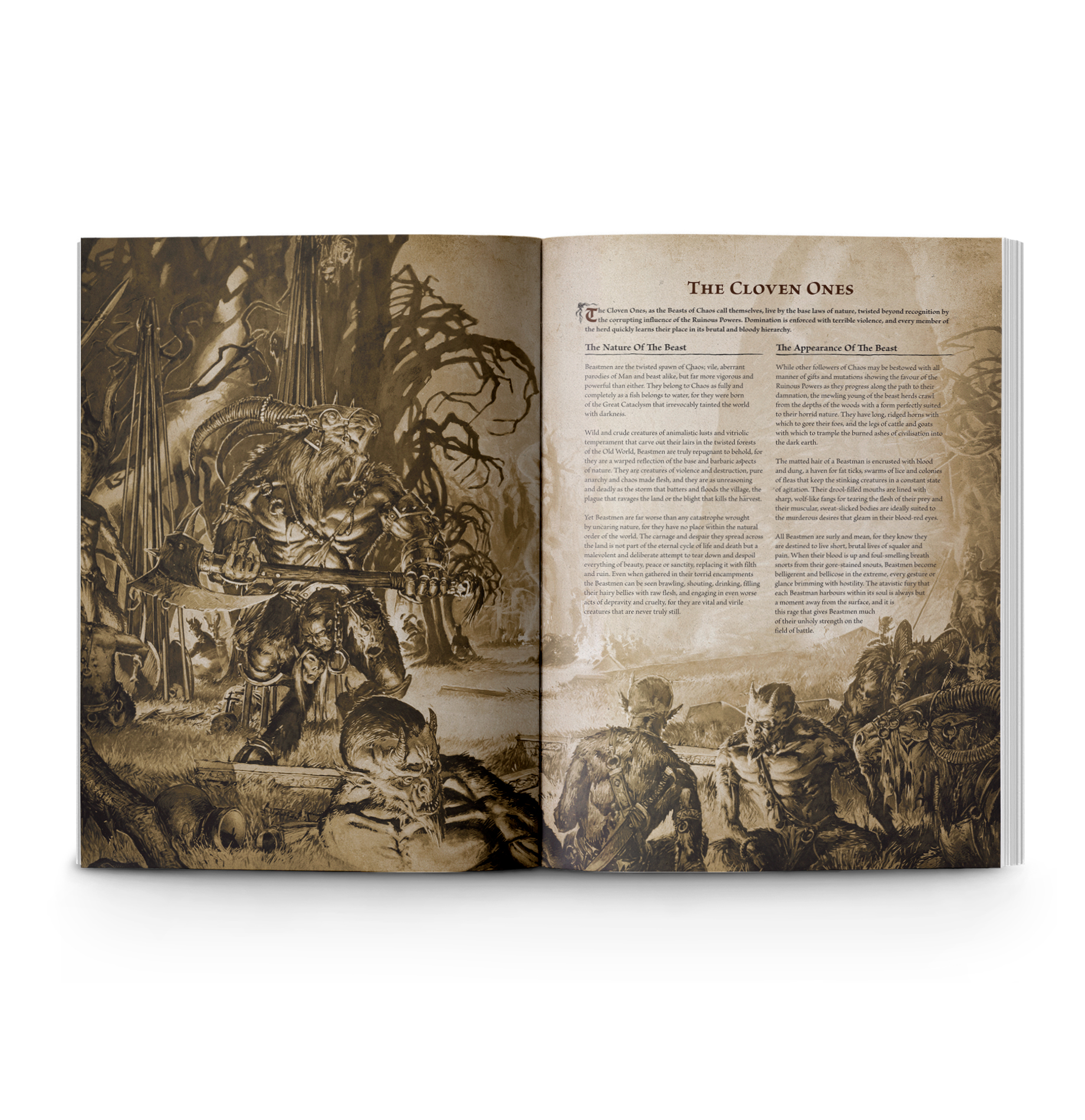 60042799012_TOWJournalBeastmenBrayherds03