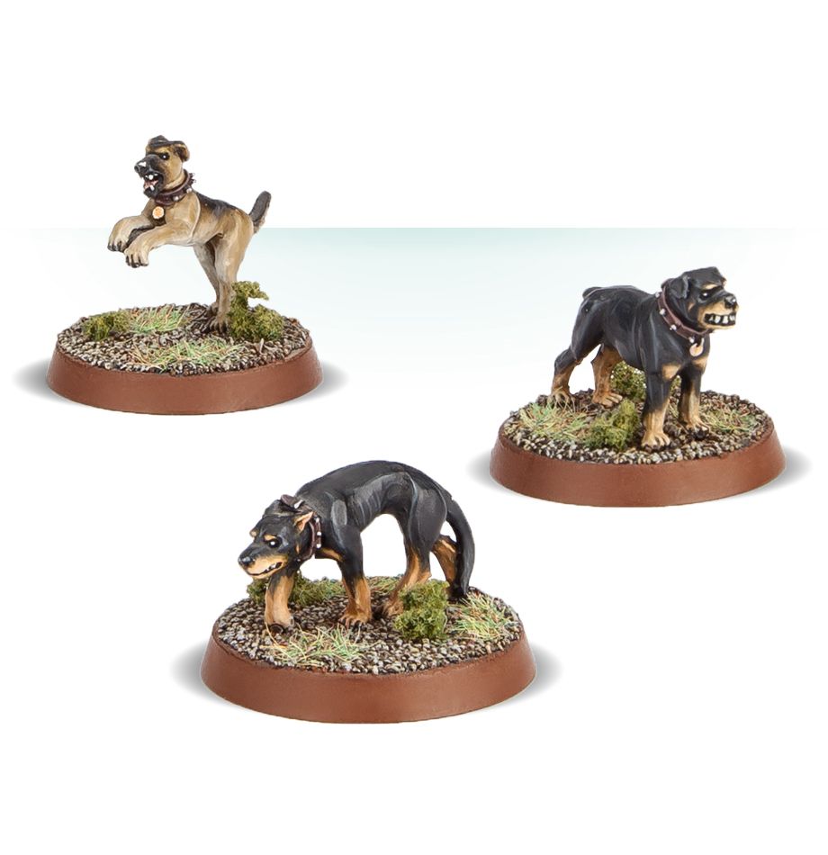 99061461012_FarmerMaggot03