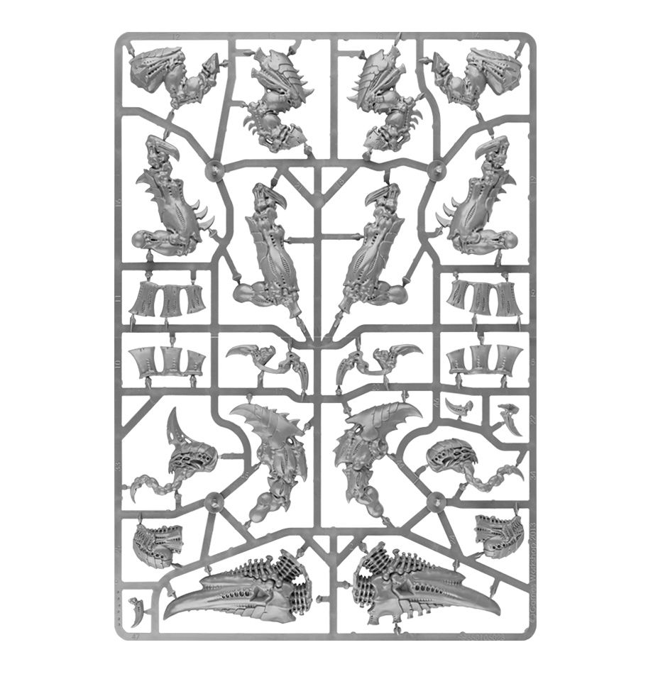 99120106026_ExocrineSprue01-3