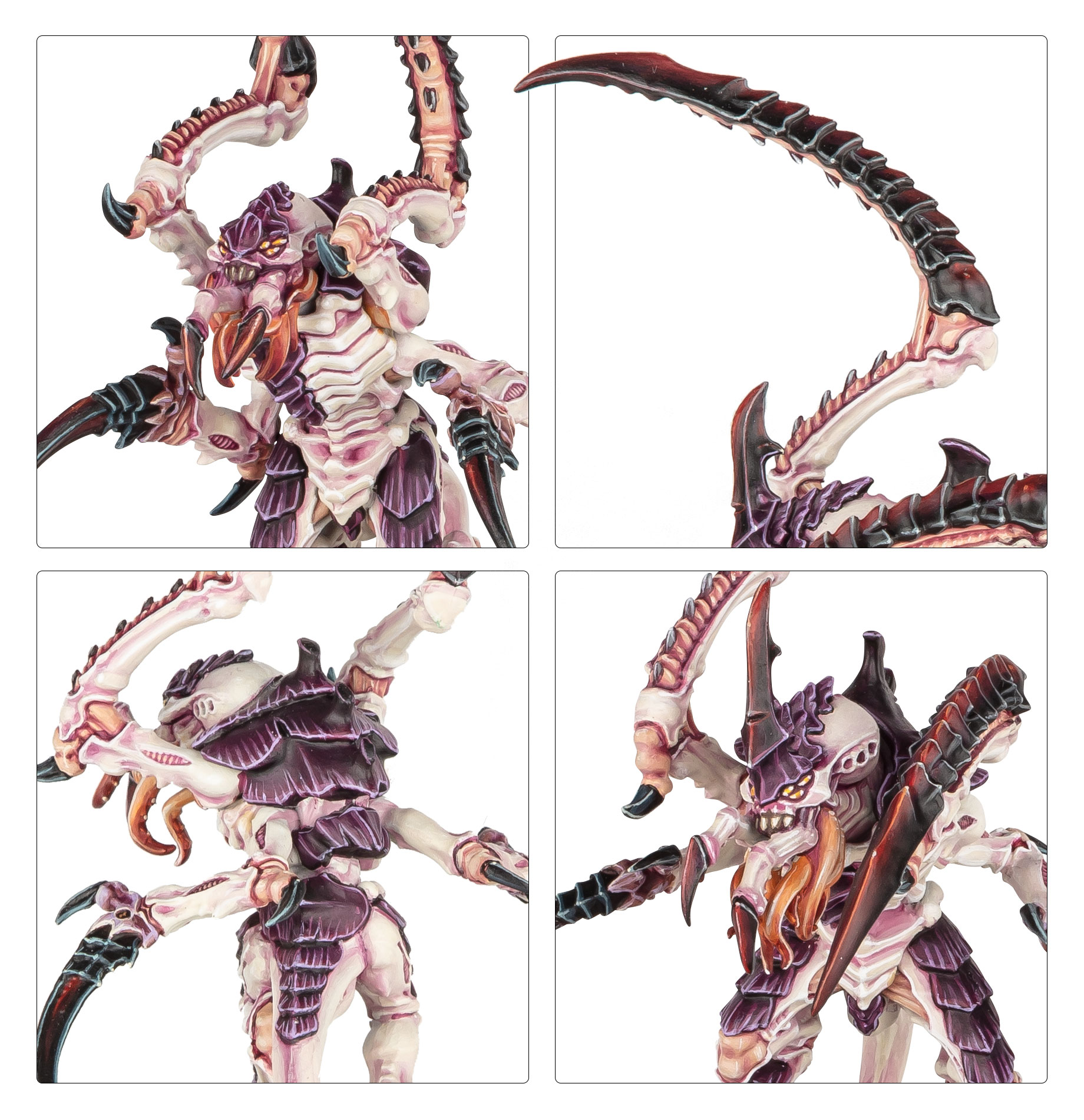 99120106070_VonRyansLeapers2