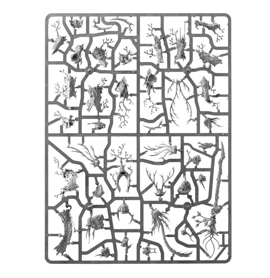 99120204013_SylvanethTreelordAncient04