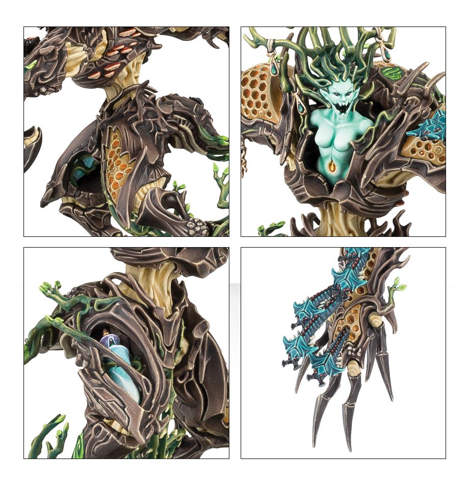 99120204017_DrycaHamadreth02-2