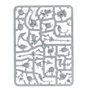 Sporesplatta Fanatics