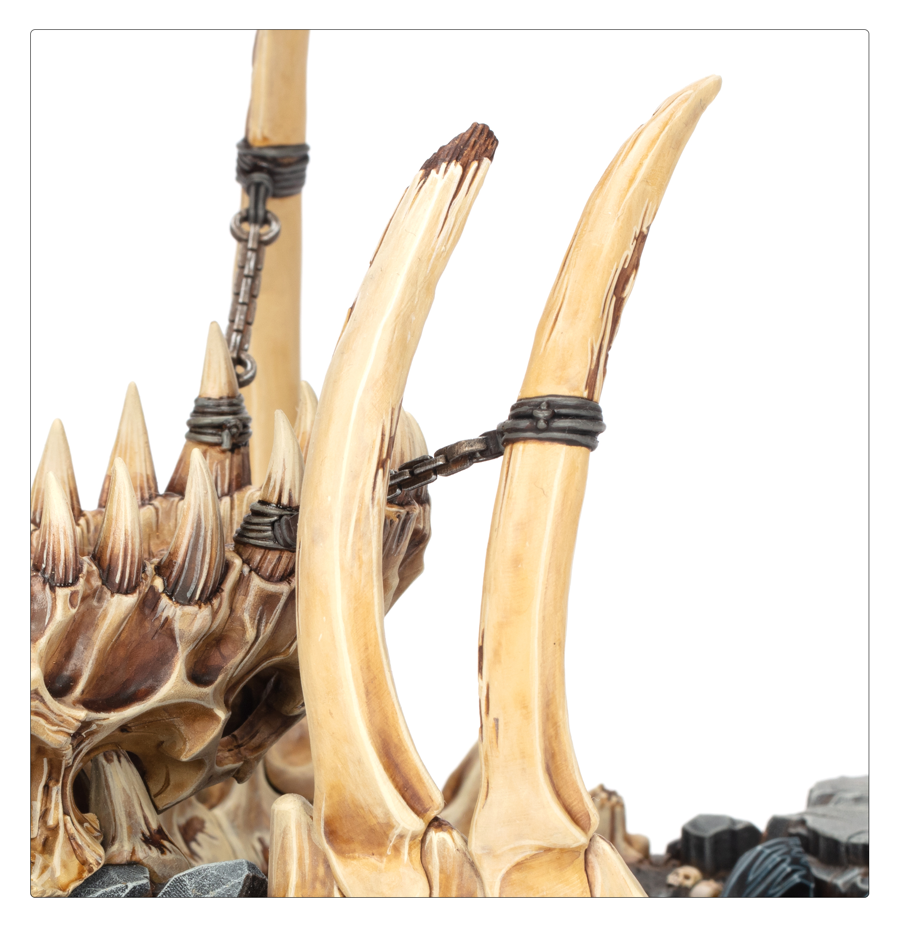 99120299098_OMMawpit04-5