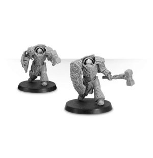 Firedrake Terminator Squad